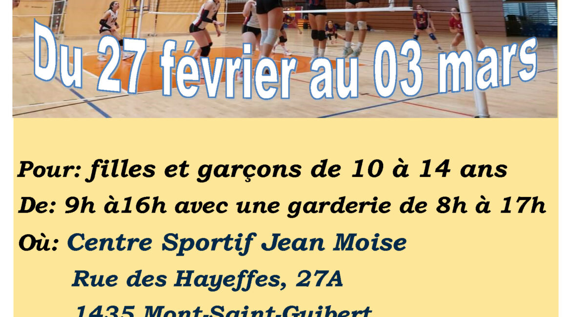 Stage Volleyball Carnaval