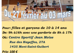 Stage Volleyball Carnaval