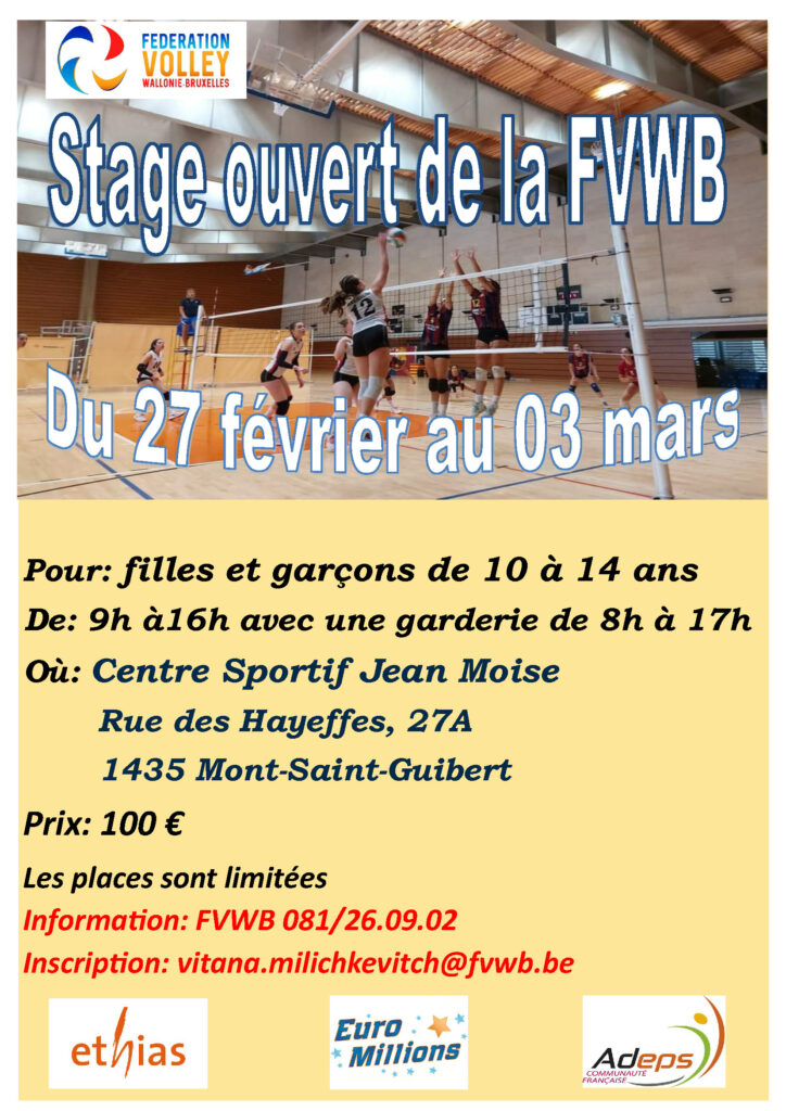 Stage Volleyball Carnaval