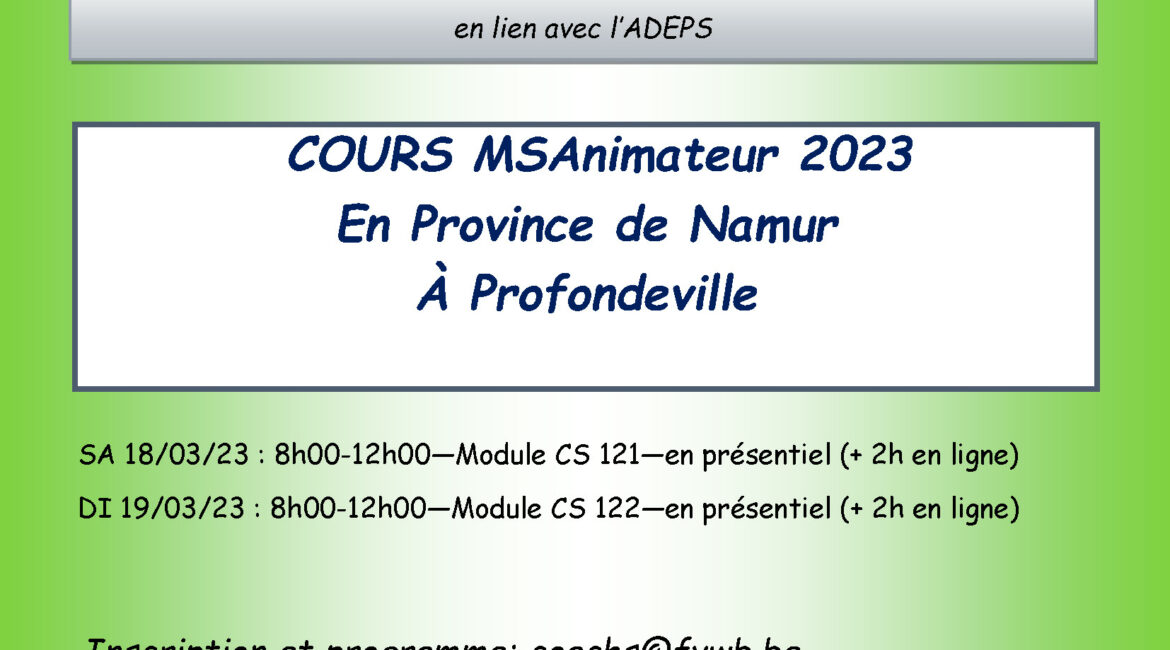 Formation animateur volleyball