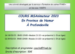 Formation animateur volleyball